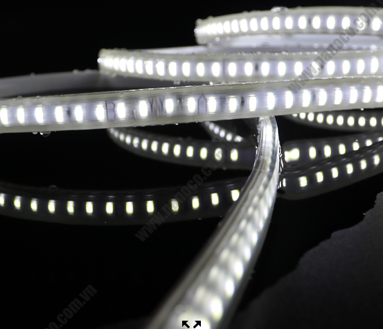 LED Dây 7W Màu ánh sáng : Trắng 6500K Số lượng chíp : 120